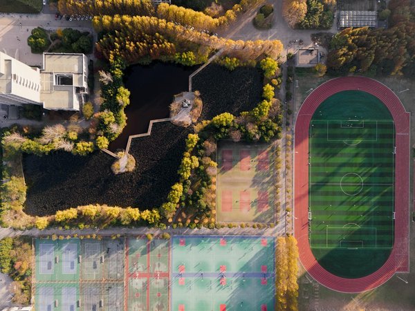 La réussite de l'Olympique de Marseille en Coupe de France